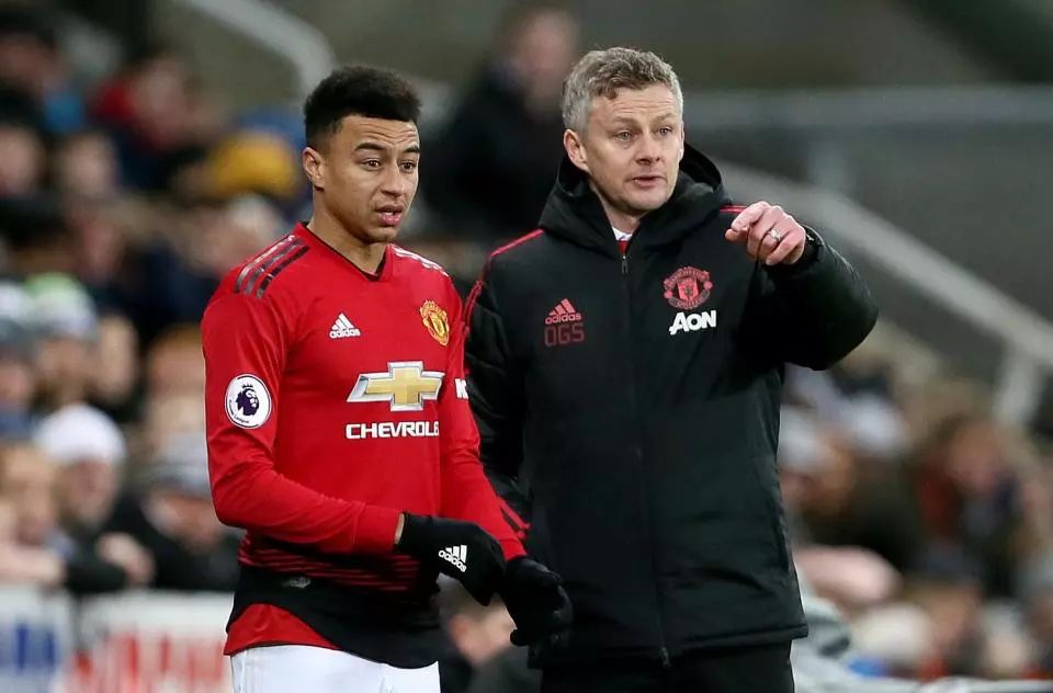 但这种组合 但这种组合